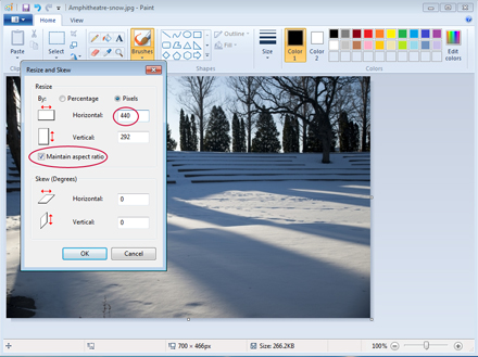 Set Image Size in Pixels in Paint