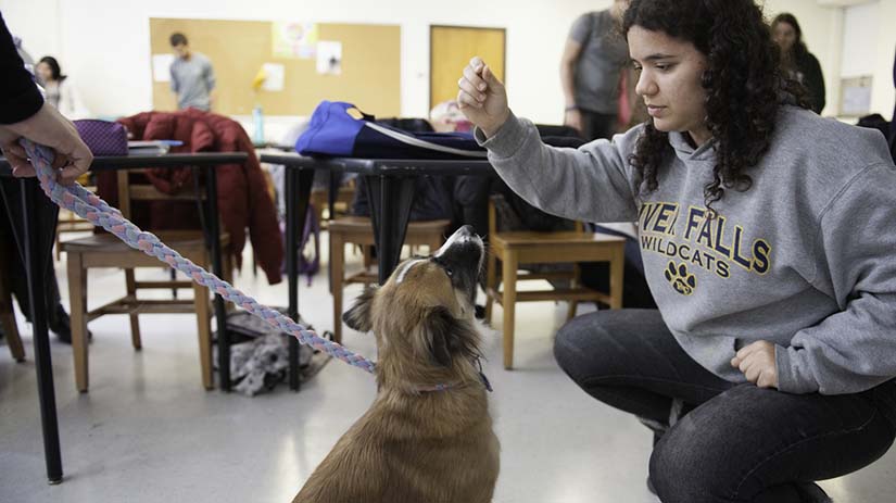 Animal Science - Companion Animal | University of Wisconsin River Falls