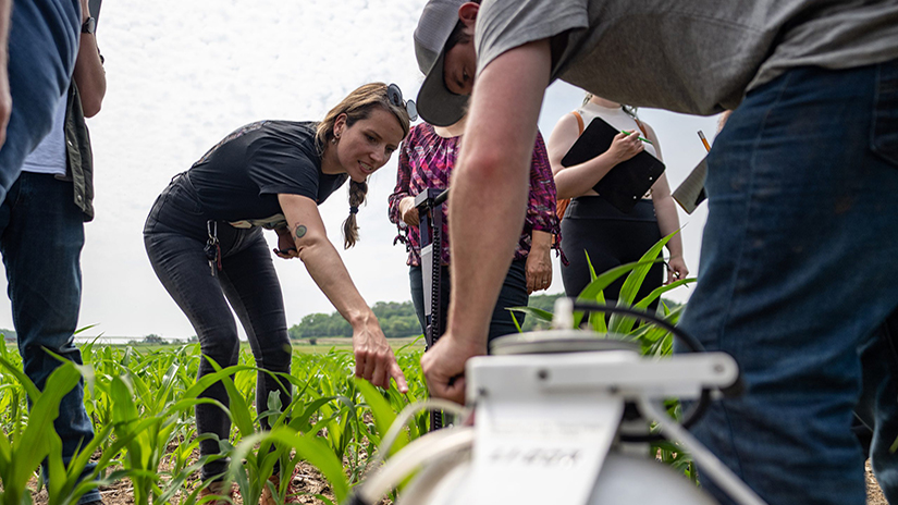 Susanne Wiesner, assistant professor of environmental science at UW-River Falls, and her team monitor soil greenhouse gas emission and carbon uptake at UWRF’s Mann Valley Farm. 