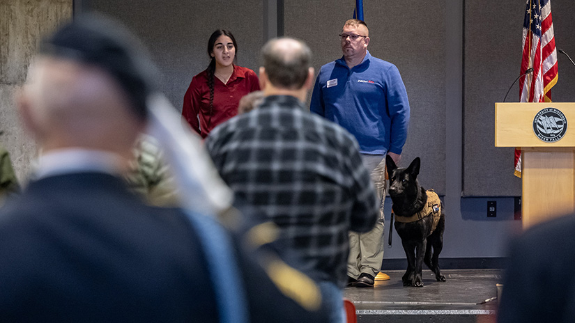 Veterans Day K9s photo