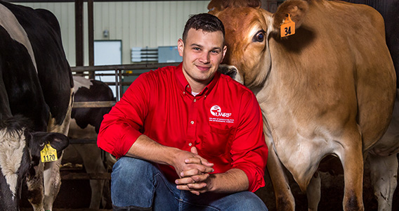 Kurt Vogel headshot. Kurt kneels inside a cow barn and a cow is behind him