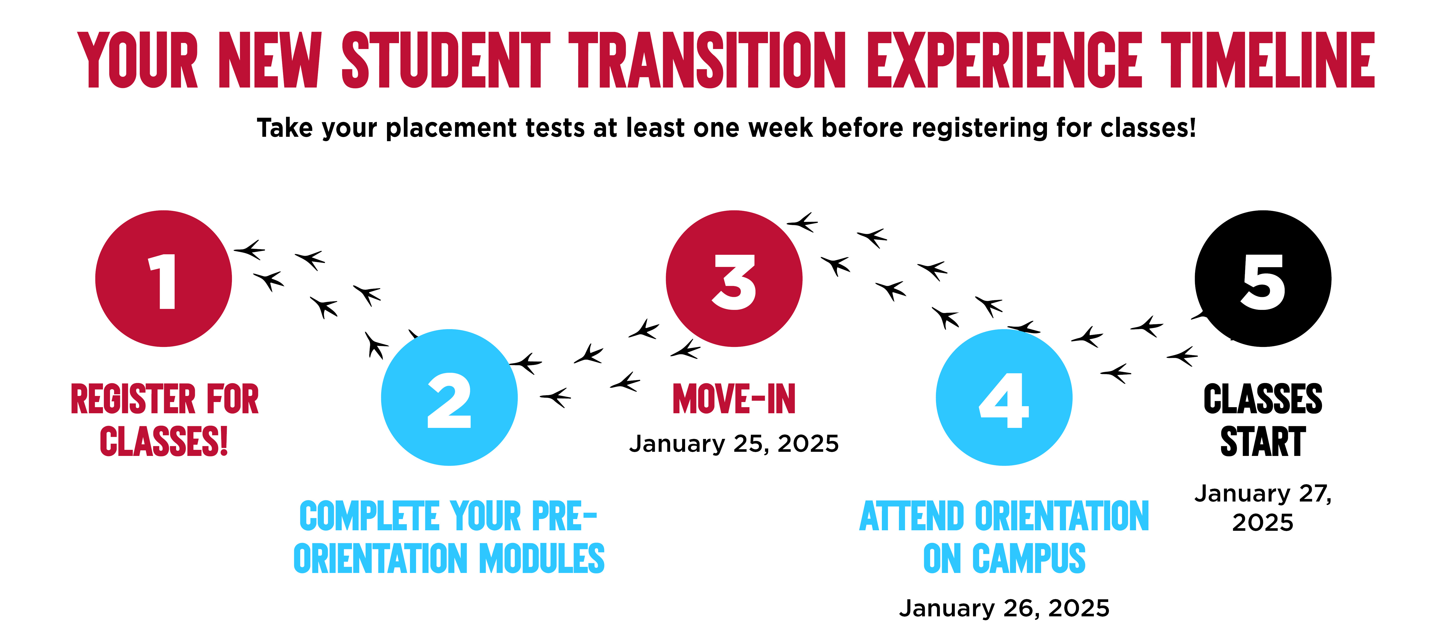 New Student Transition Experience Timeline Graphic for Spring 2025