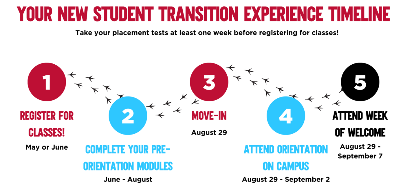 New Student Transition Experience Timeline Graphic