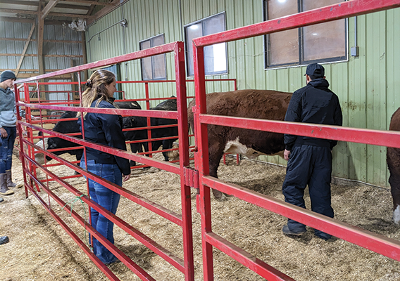 Learning steer handling and behavior