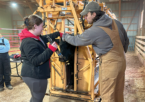 Learning animal handling and behavior