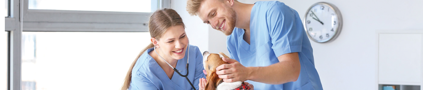 veterinary technician training